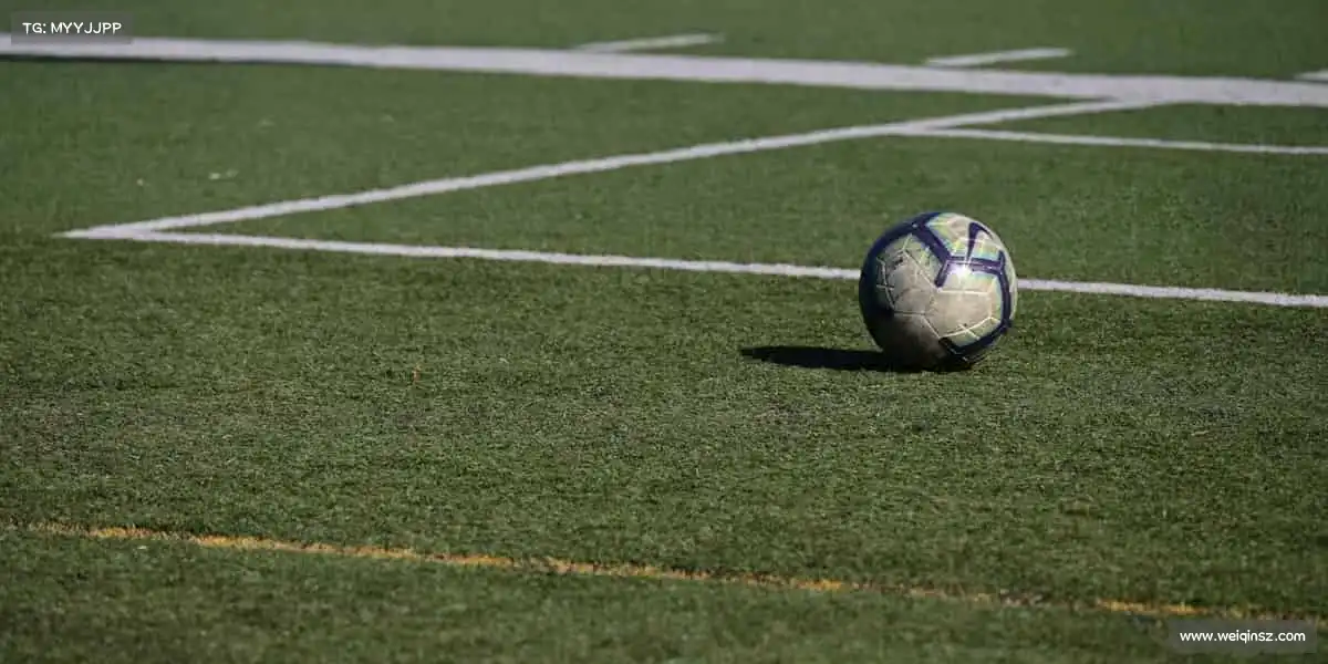 我们的品牌价值